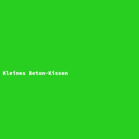 Kleines Beton-Kissen